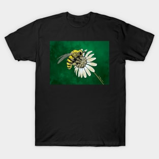 Honeybee Collecting Pollen from a Daisy T-Shirt